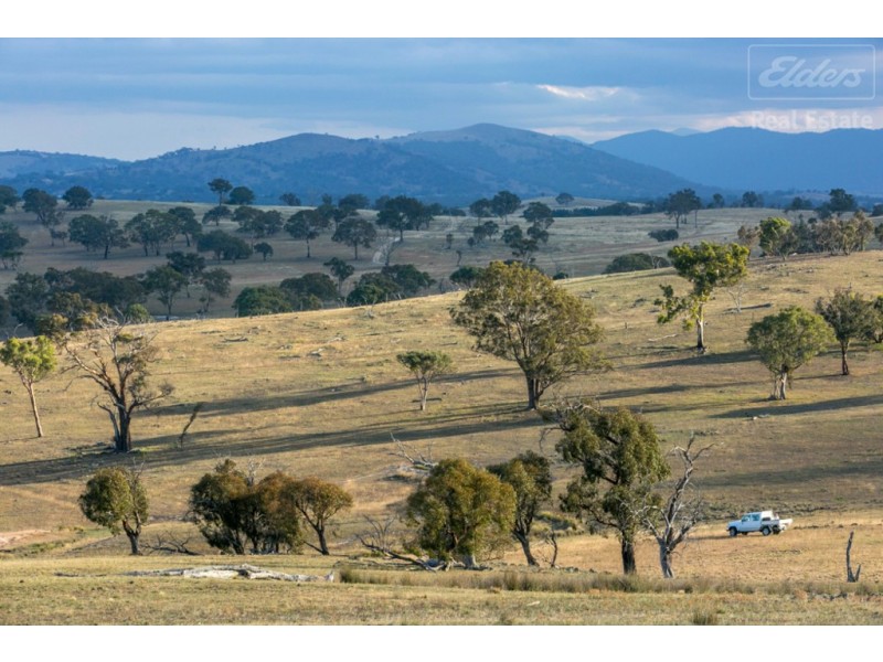 1995 Old Cooma Road, Royalla NSW 2620