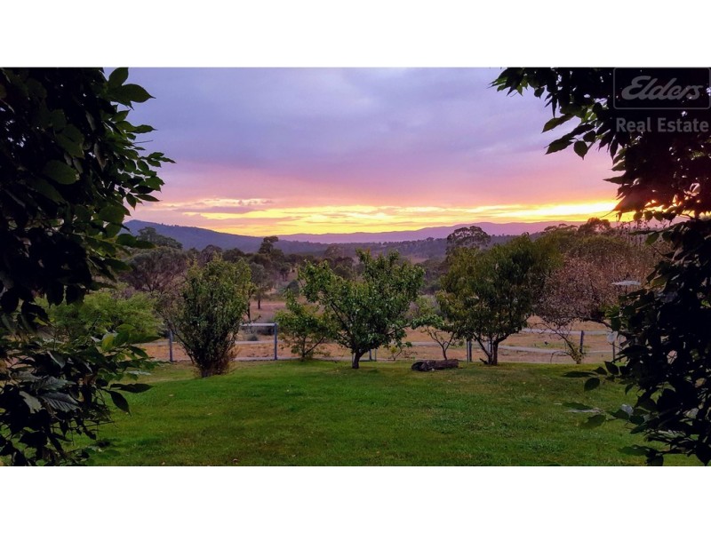 103 Whiskers Creek Road, Carwoola NSW 2620