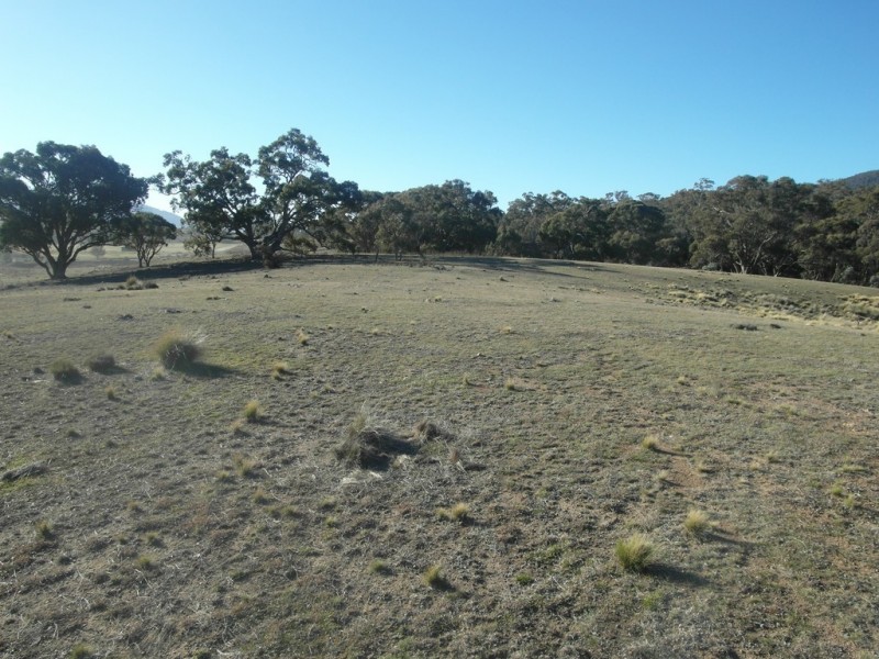 Lot 908 Captain Robertson Drive, Burra NSW 2620