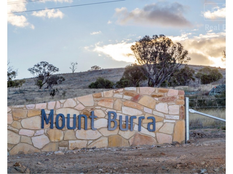 Lot 213 Mount Burra, Burra NSW 2620