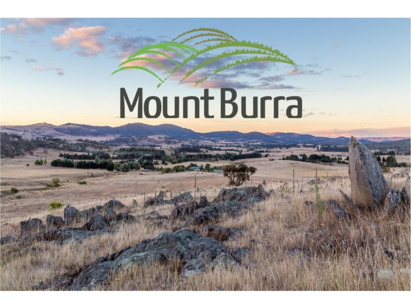 Lot 206 Mount Burra, Burra NSW 2620