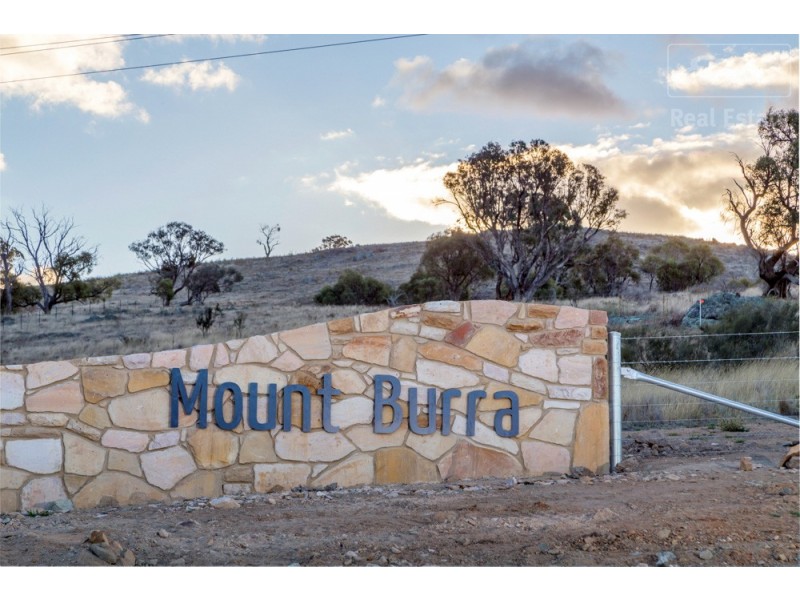 Lot 206 Mount Burra, Burra NSW 2620