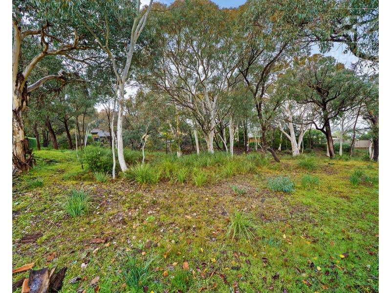 14 Carolyn Jackson Drive, Jerrabomberra NSW 2619