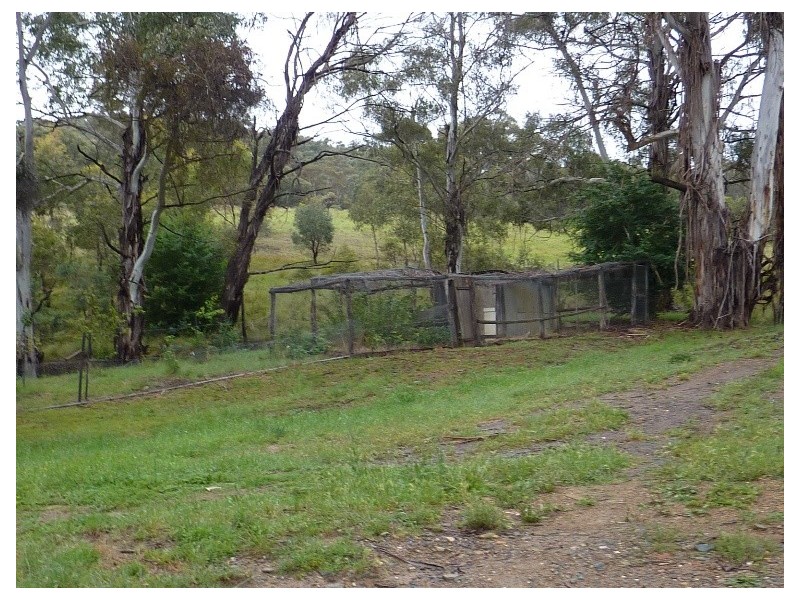 1166 Urila Road, Burra NSW 2620