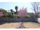 10 Allambee Street, Jerrabomberra NSW 2619
