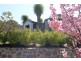 10 Allambee Street, Jerrabomberra NSW 2619