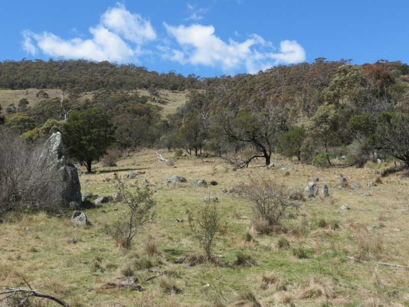 462 Royalla Drive, Royalla ACT 2620