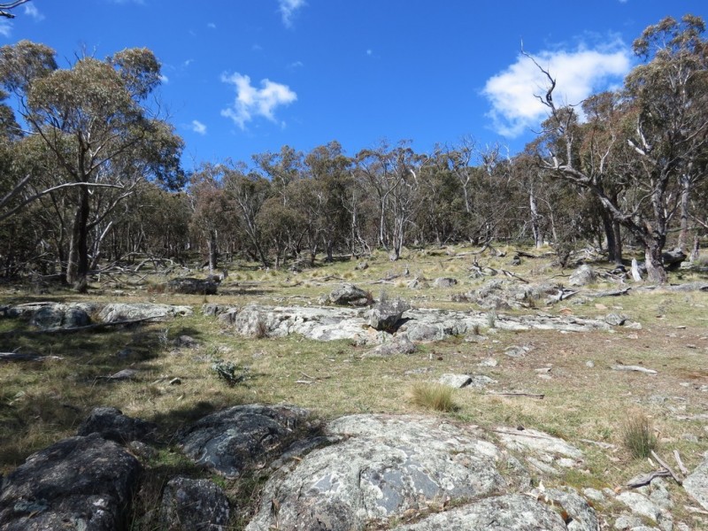 462 Royalla Drive, Royalla ACT 2620