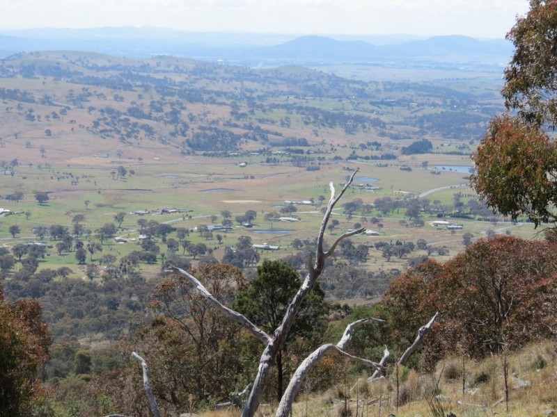 462 Royalla Drive, Royalla ACT 2620