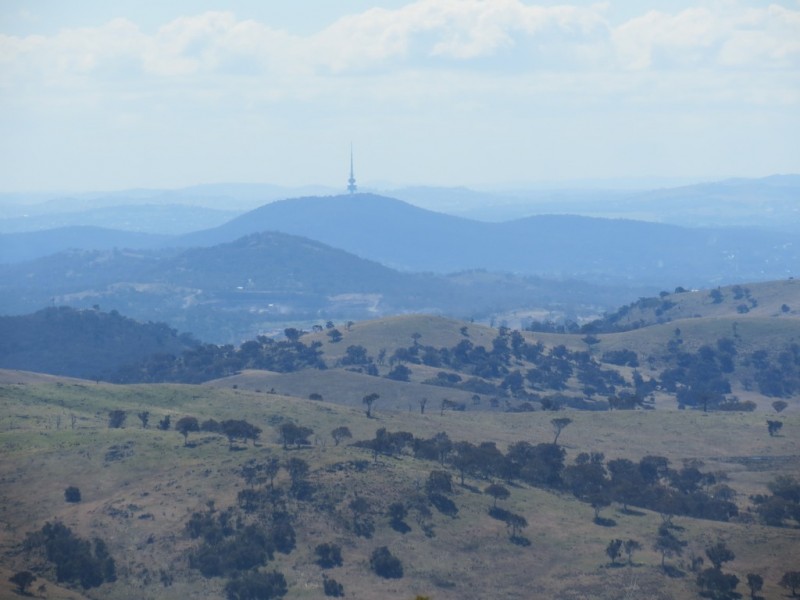 462 Royalla Drive, Royalla ACT 2620