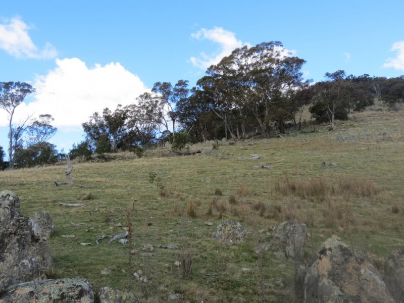 462 Royalla Drive, Royalla ACT 2620