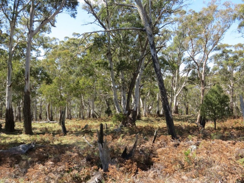 462 Royalla Drive, Royalla ACT 2620