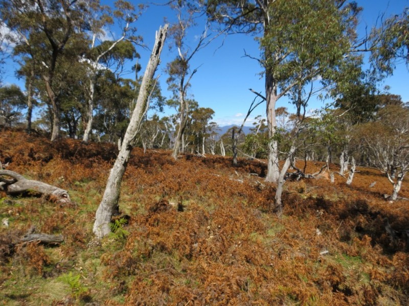 462 Royalla Drive, Royalla ACT 2620