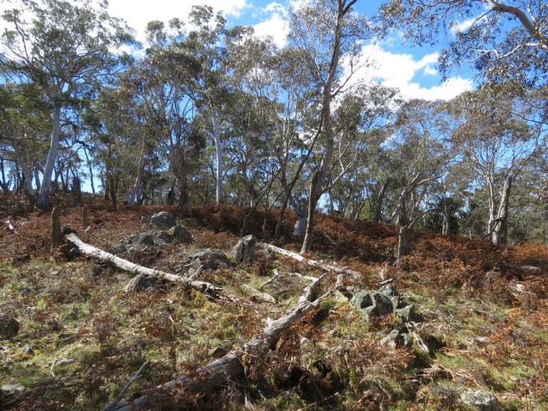 462 Royalla Drive, Royalla ACT 2620