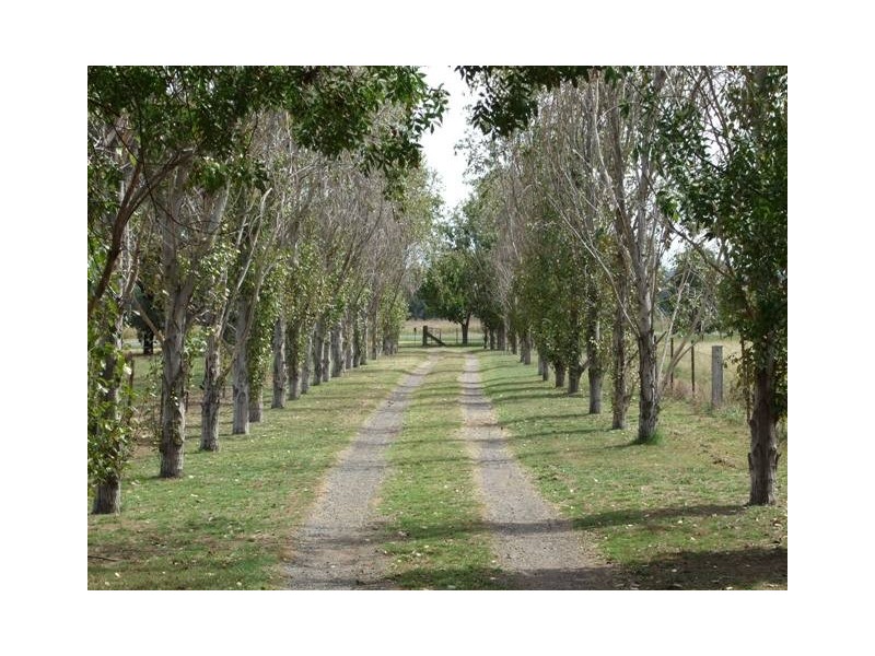968 Kamilaroi Highway, Quirindi NSW 2343