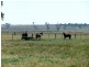 14670 New England Highway, Tamworth NSW 2340