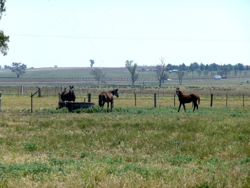 14670 New England Highway, Tamworth NSW 2340