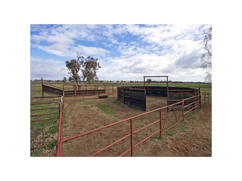 324 Nundle Road, Nemingha NSW 2340
