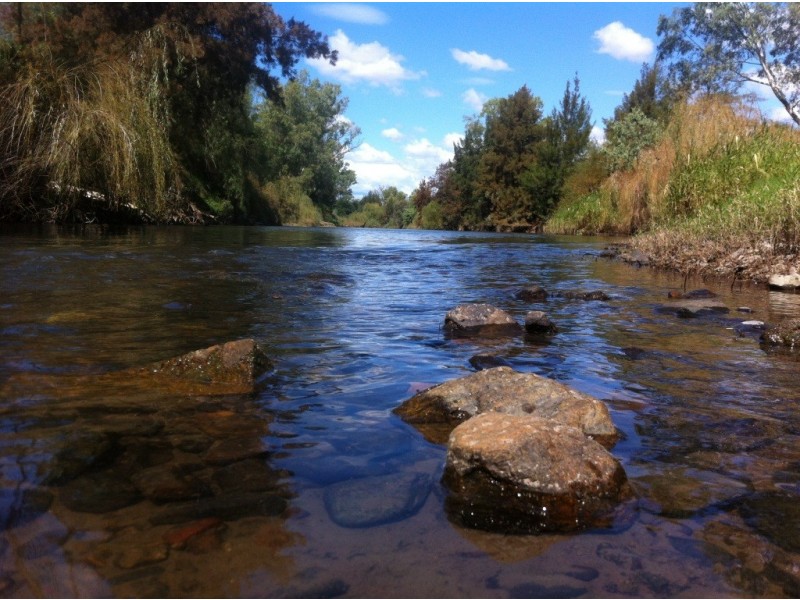 Wongaburra King George V Ave, Tamworth NSW 2340