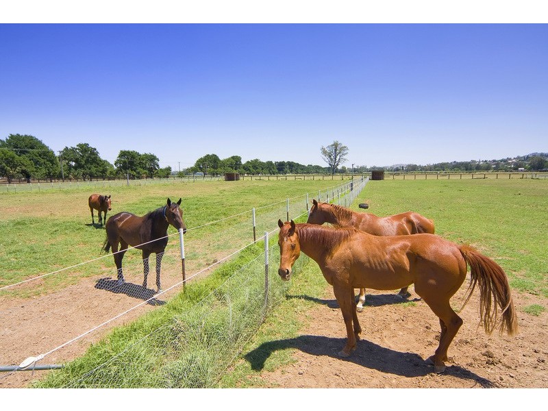 Wongaburra King George V Ave, Tamworth NSW 2340