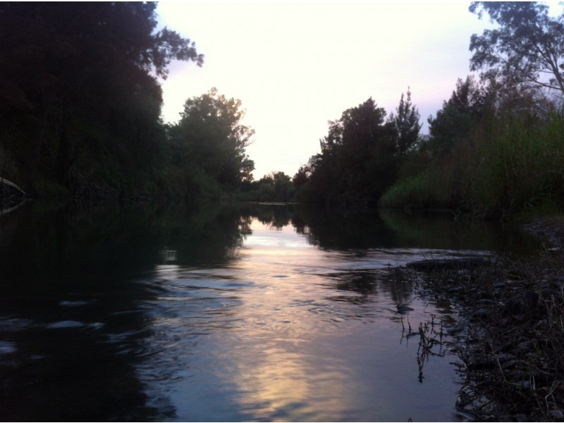 Wongaburra King George V Ave, Tamworth NSW 2340