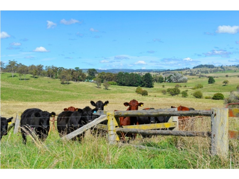 Cobrabald River, Glen Morrison Road, Walcha NSW 2354