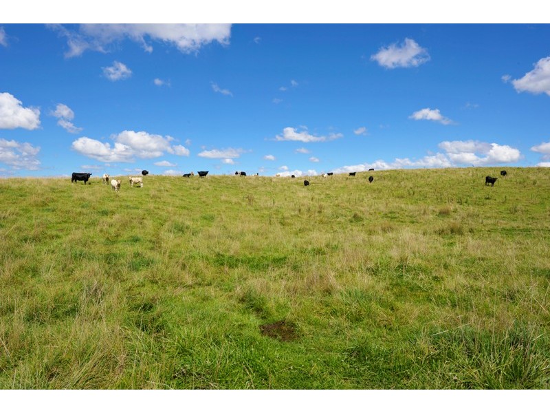 Cobrabald River, Glen Morrison Road, Walcha NSW 2354