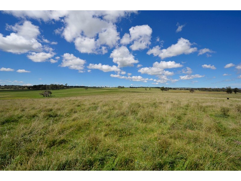 Cobrabald River, Glen Morrison Road, Walcha NSW 2354