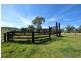 1299 Babbinboon Road, Piallaway NSW 2342