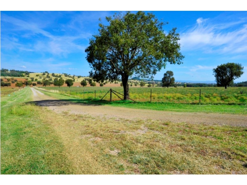 1299 Babbinboon Road, Piallaway NSW 2342