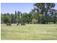 Wongaburra 122-142 King George V Ave, Tamworth NSW 2340