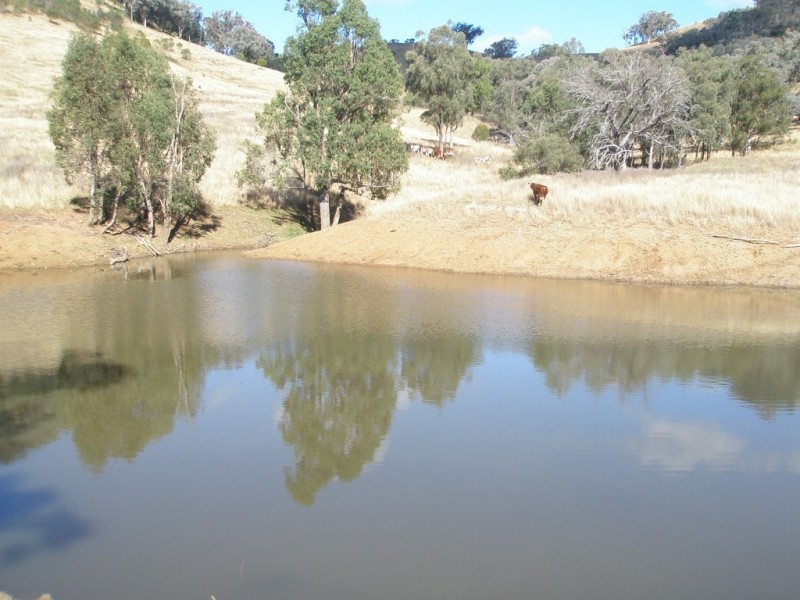 Top Paddock Back Woolomin Rd, Dungowan NSW 2340