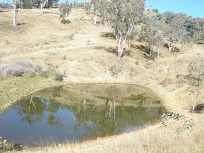 Top Paddock Back Woolomin Rd, Dungowan NSW 2340
