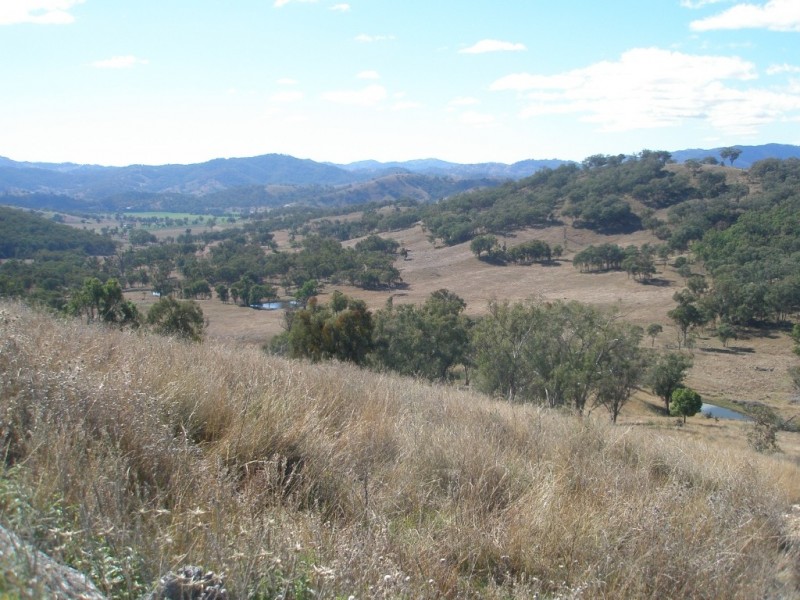 Top Paddock Back Woolomin Rd, Dungowan NSW 2340