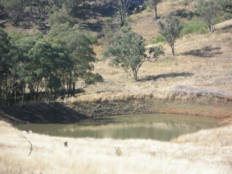 Top Paddock Back Woolomin Rd, Dungowan NSW 2340