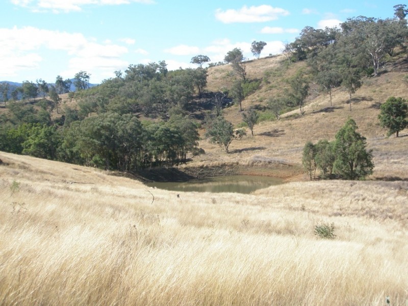 Top Paddock Back Woolomin Rd, Dungowan NSW 2340