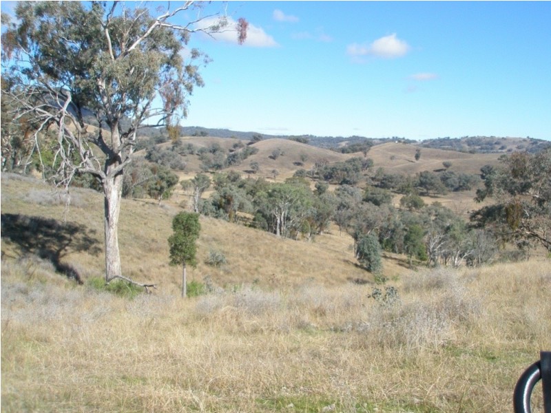 Top Paddock Back Woolomin Rd, Dungowan NSW 2340