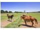 122-142 King George V Ave, Tamworth NSW 2340