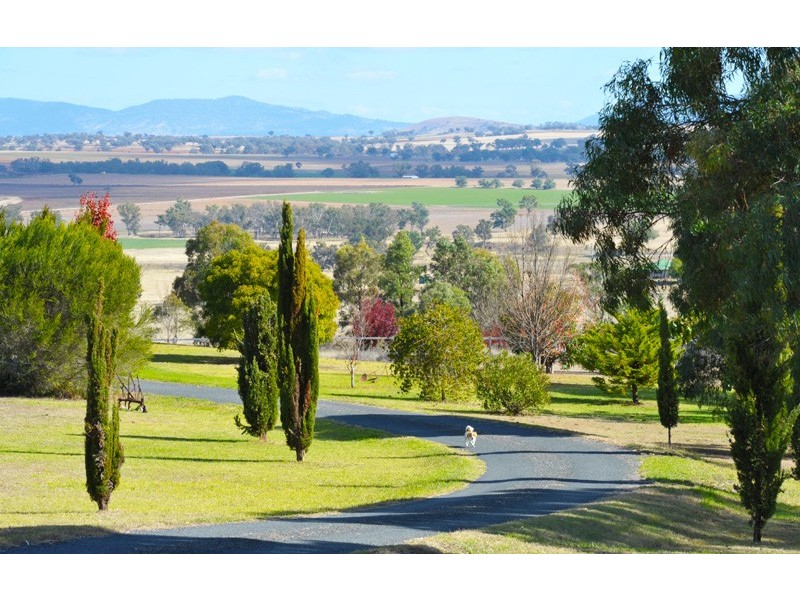 22 Redgum Place, Loomberah NSW 2340