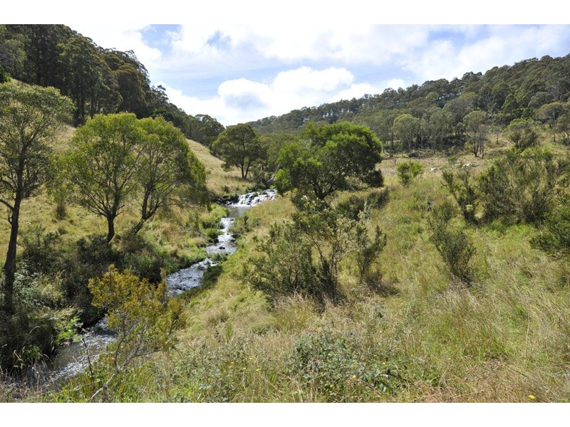 The Ridge Via Armidale, Ebor NSW 2453