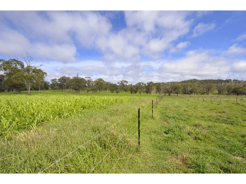 The Ridge Via Armidale, Ebor NSW 2453