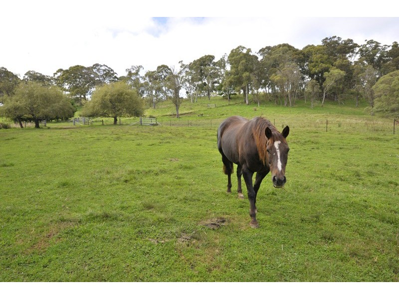 The Ridge Via Armidale, Ebor NSW 2453