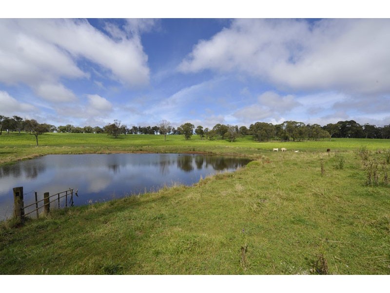 The Ridge Via Armidale, Ebor NSW 2453