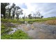The Ridge Via Armidale, Ebor NSW 2453