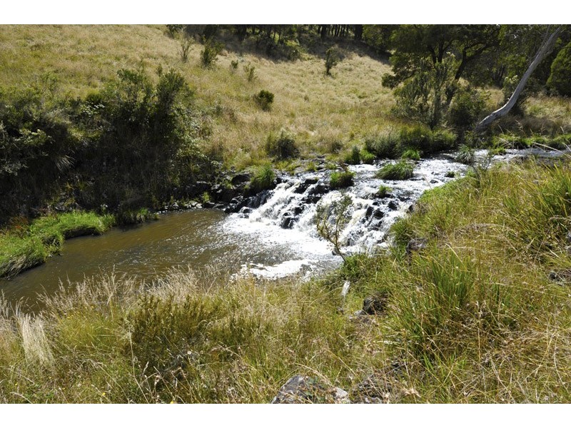 The Ridge Via Armidale, Ebor NSW 2453