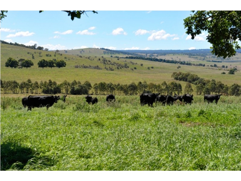 “Calala” Oxley Highway, Walcha NSW 2354