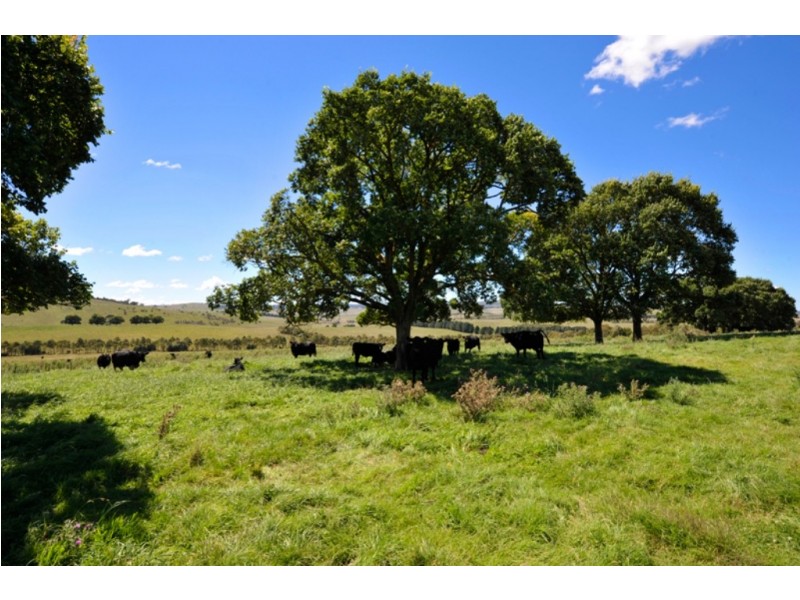 “Calala” Oxley Highway, Walcha NSW 2354