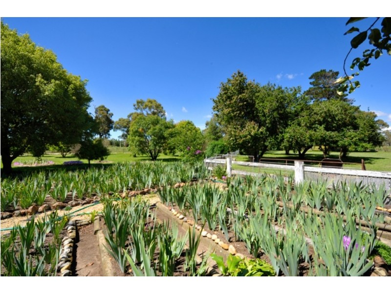 “Calala” Oxley Highway, Walcha NSW 2354