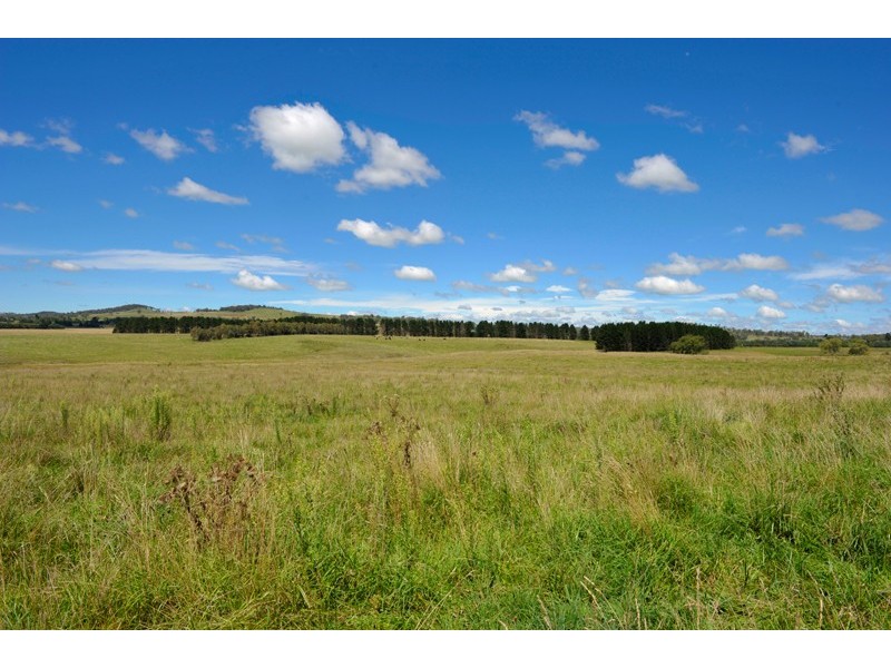 “Calala” Oxley Highway, Walcha NSW 2354