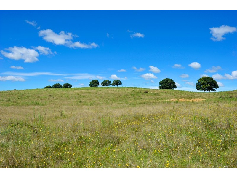 “Calala” Oxley Highway, Walcha NSW 2354